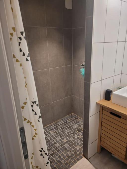La Maison Jaune Appartement Die